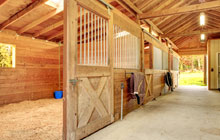 Saline stable construction leads